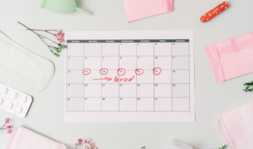 Como saber o dia da ovulação no ciclo menstrual?