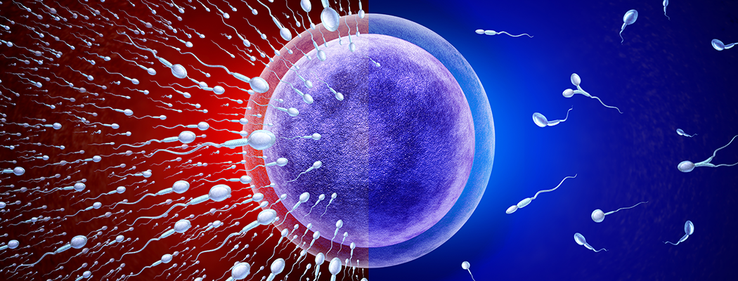 Azoospermia: do diagnóstico ao tratamento