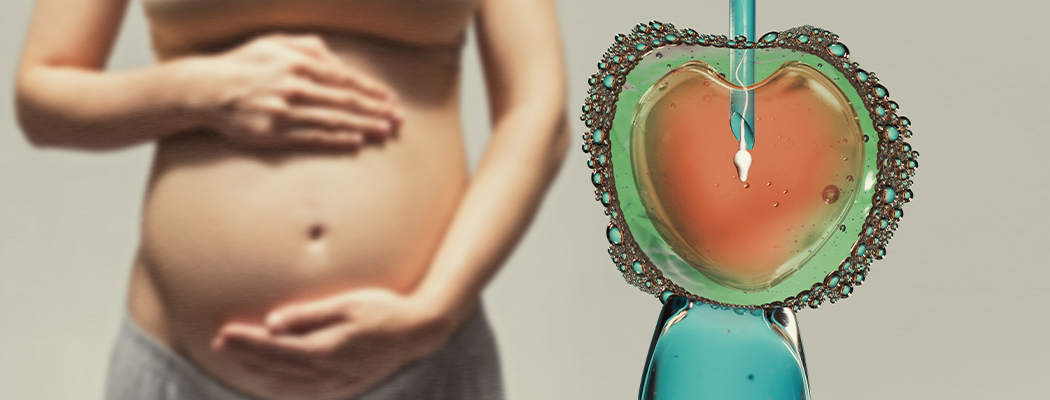 Fertilização In Vitro: como é o tratamento