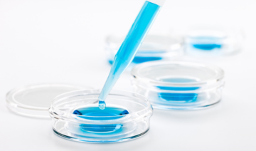 Como funciona a FIV: etapas da fertilização in vitro explicadas passo a passo